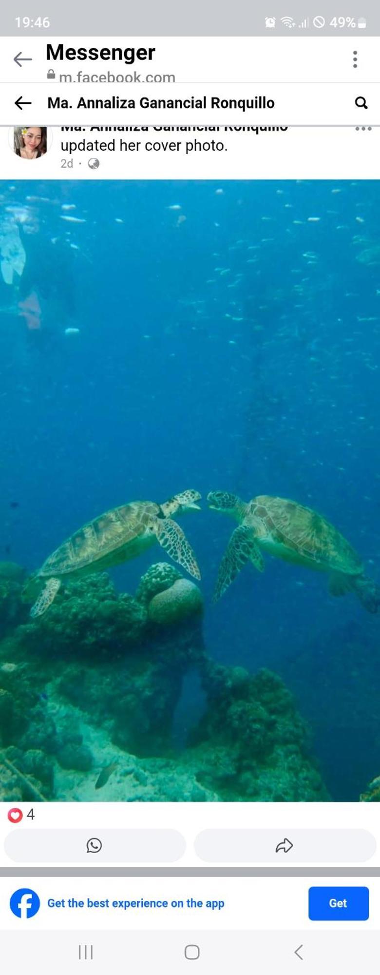 Nirvana Bamboo Houses & Dive Resort 莫阿尔博阿 外观 照片