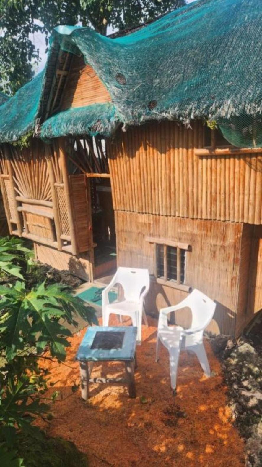 Nirvana Bamboo Houses & Dive Resort 莫阿尔博阿 外观 照片
