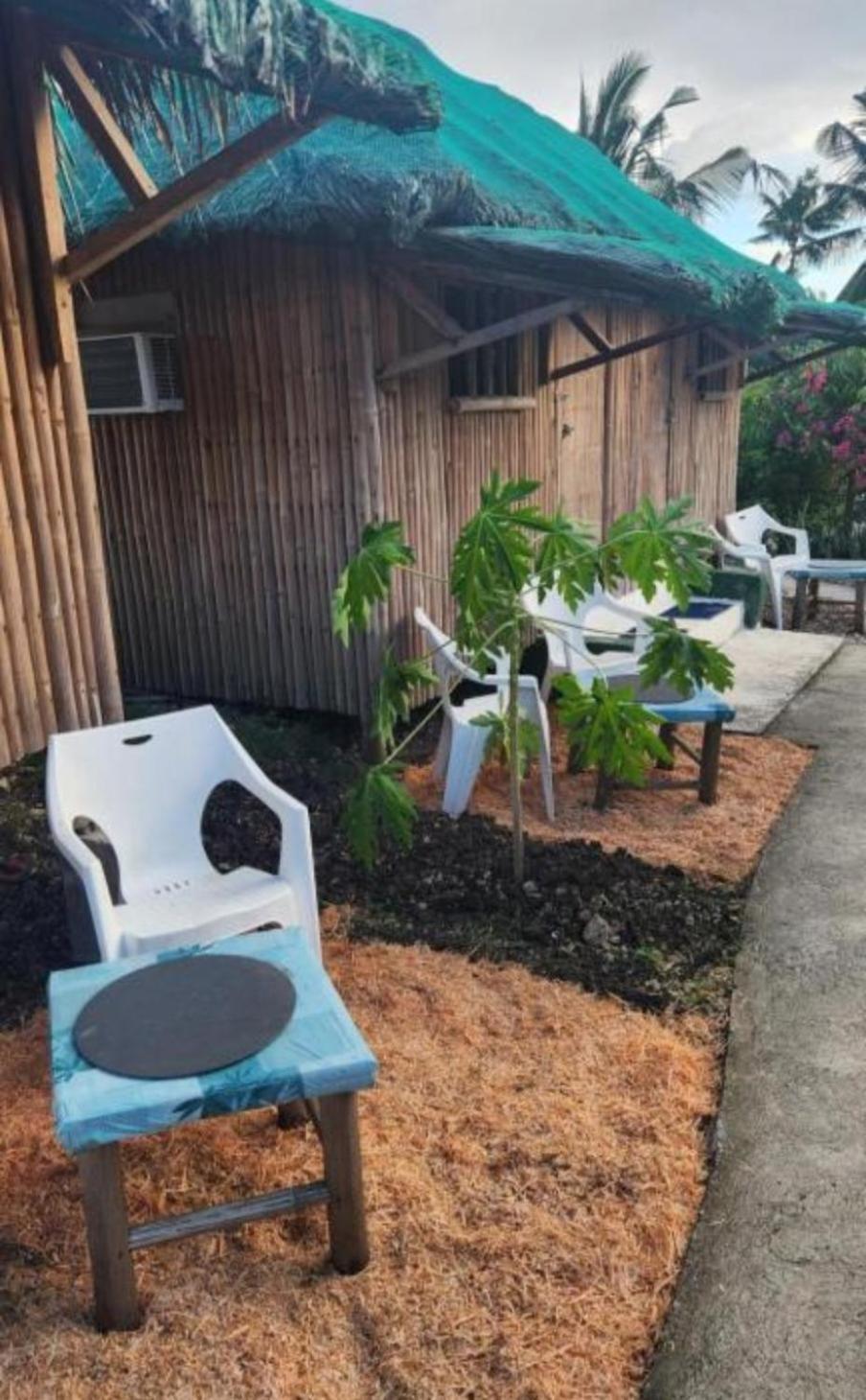 Nirvana Bamboo Houses & Dive Resort 莫阿尔博阿 外观 照片
