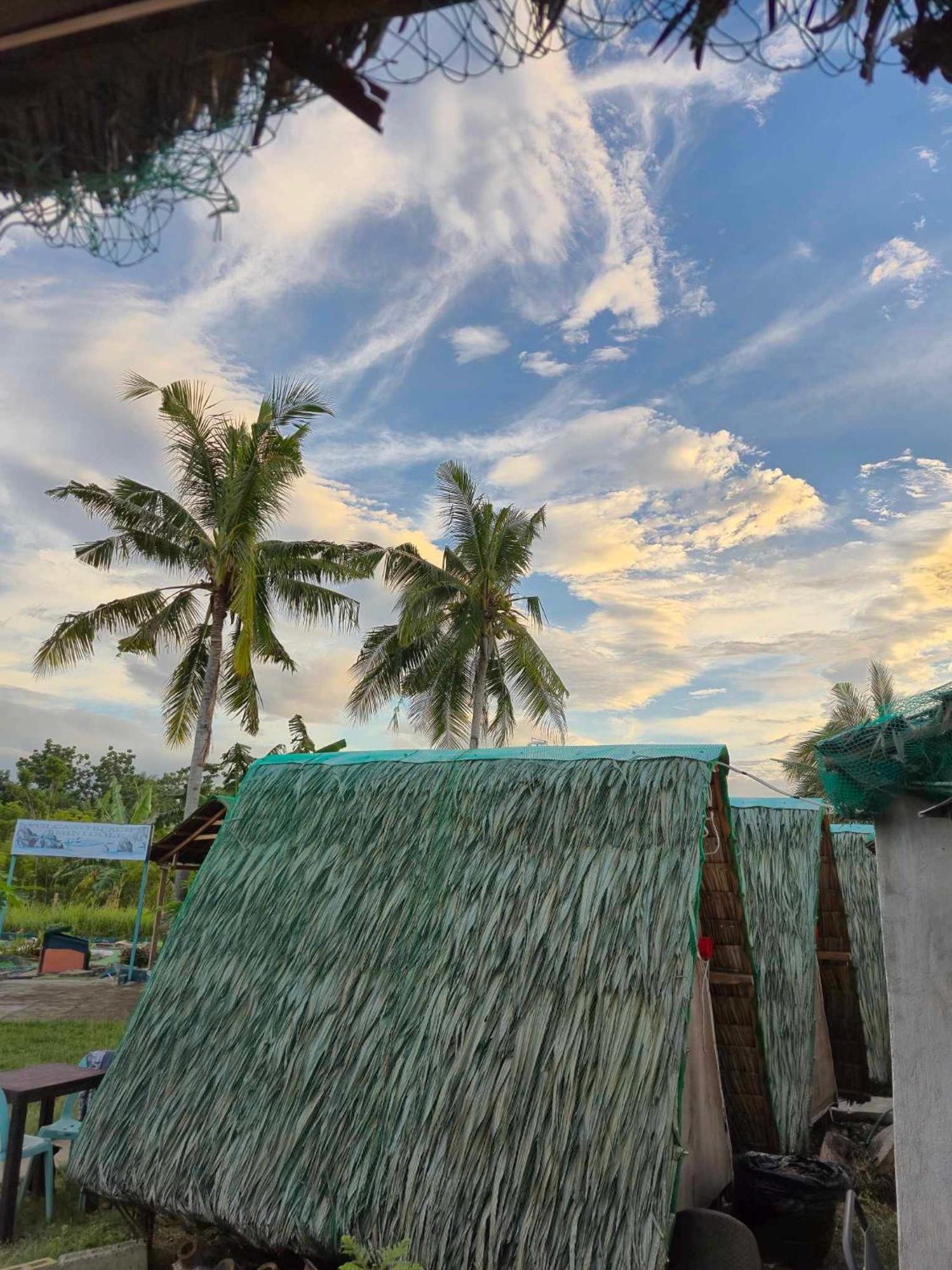 Nirvana Bamboo Houses & Dive Resort 莫阿尔博阿 外观 照片